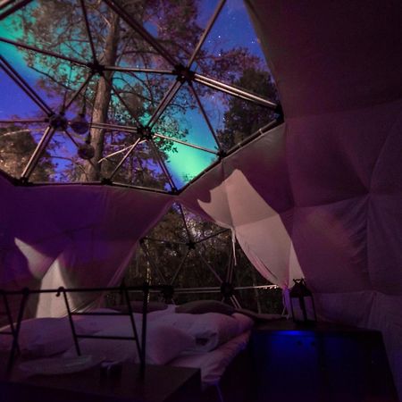 Glod Aurora Canvas Dome Alta Exteriör bild