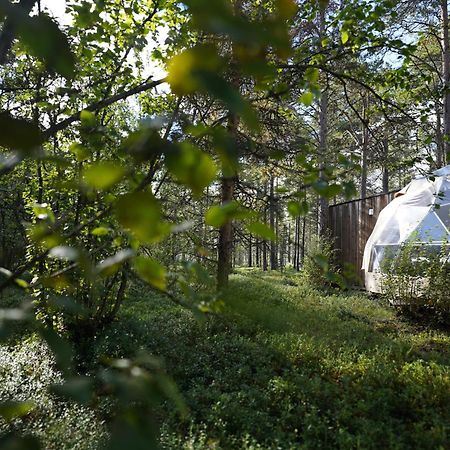 Glod Aurora Canvas Dome Alta Exteriör bild