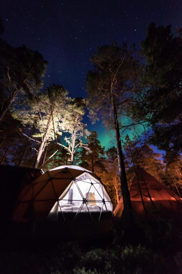 Glod Aurora Canvas Dome Alta Exteriör bild