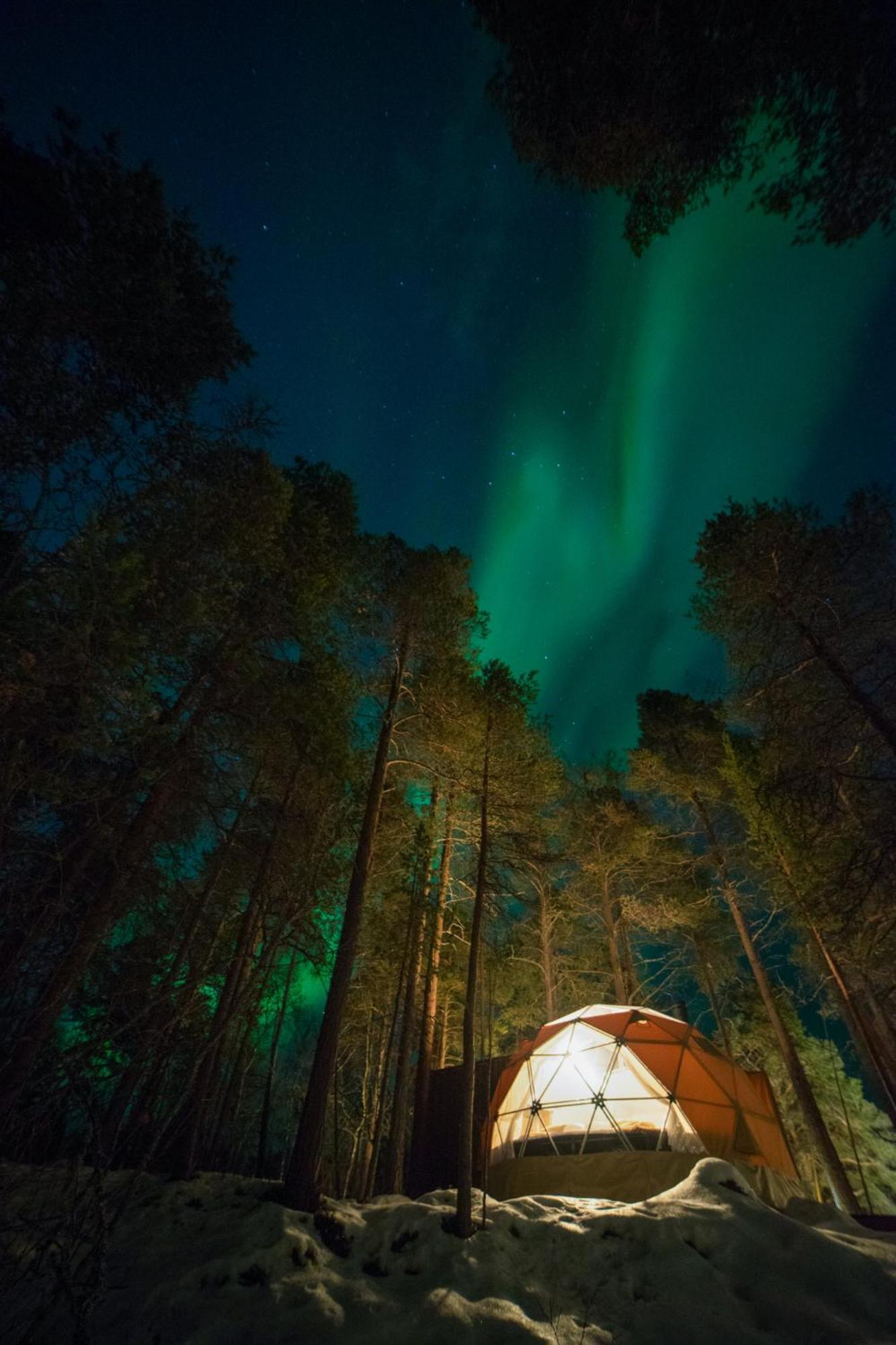 Glod Aurora Canvas Dome Alta Exteriör bild