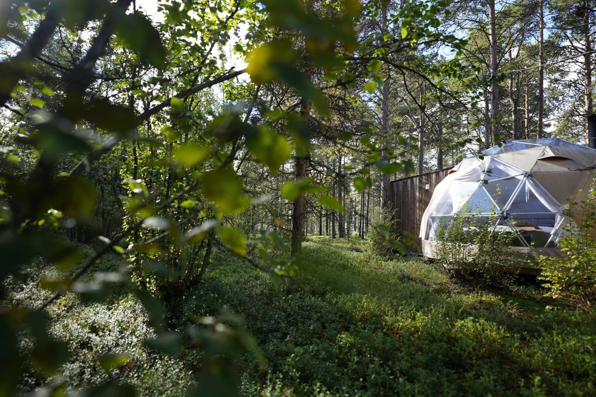 Glod Aurora Canvas Dome Alta Exteriör bild