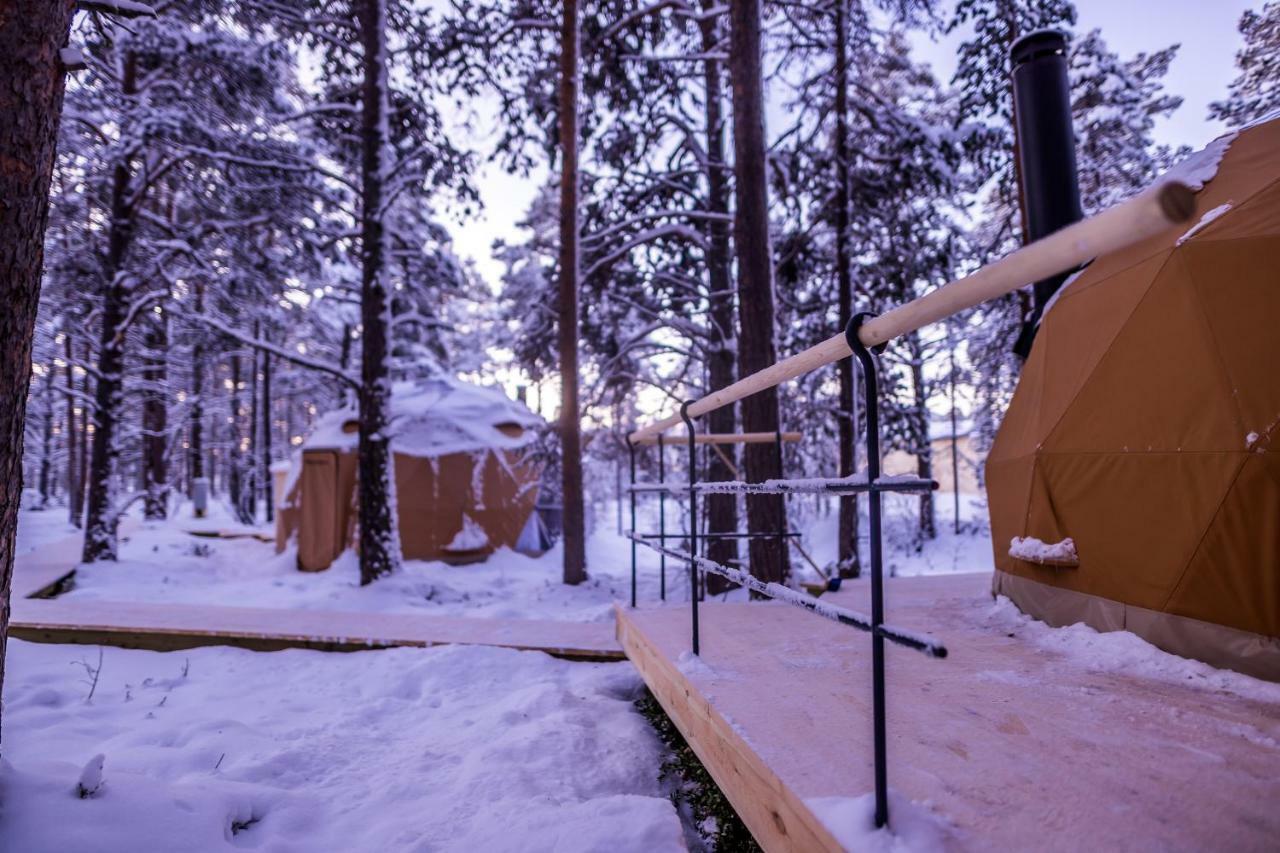 Glod Aurora Canvas Dome Alta Exteriör bild