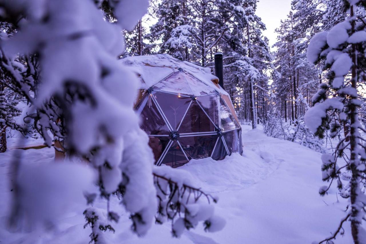 Glod Aurora Canvas Dome Alta Exteriör bild