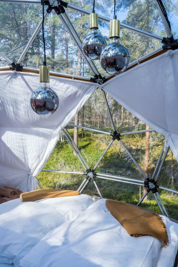 Glod Aurora Canvas Dome Alta Exteriör bild